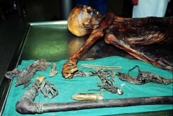 Scientists believe Europe's oldest known natural human mummy ate a final meal 5,000 years ago that included a pancake-like food, cooked over an open fire.
