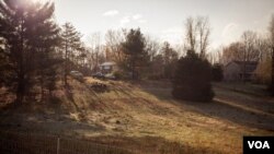 Heritage turkeys at Virginia's Crowfoot Farm