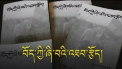 གླིང་ཚ་ཚེ་བརྟན་རྡོ་རྗེའི་བོད་ཀྱི་ཞི་བའི་འཐབ་རྩོད།