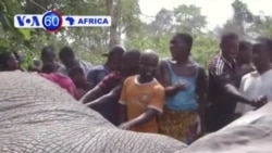 Manchetes Africanas
29 Janeiro 2014