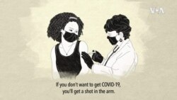 Vaccination History Explainer