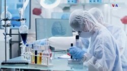 Ֆիլիպ Կարոյանի թիմն առաջարկում է կորոնավիրուսի դեմ պայքարի նոր եղանակ