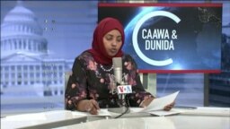 Caawa iyo Dunida