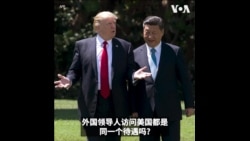 国事访问 vs. 一般访问，有何不同？