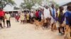 Tackling Rabies in Malawi, One Dog at a Time