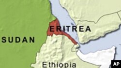 Eritrea is Focus of Brussels Meeting