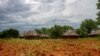 FILE - A field is seen in a village near Lubango, Angola, Feb. 16, 2020. Huila province was hit by drought last year, and the country's water shortage has continued in 2021. A World Food Program spokesman put crop losses at up to 40%.