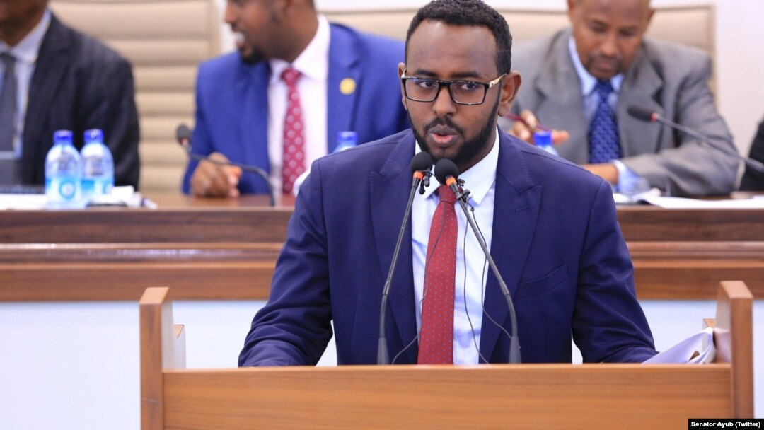 Senator Ayuub