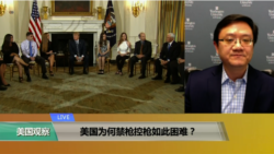 专家视点(马钊)：美国为何禁枪控枪如此困难？