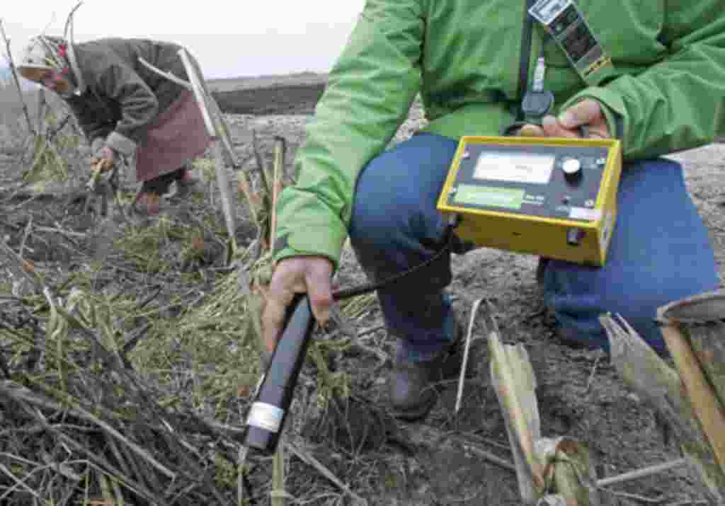 Ganna Zavorotnya, de 78 años y quien vive en Kupovote, a unos 30 kilómetros de la planta nuclear de Chernobyl, recoge verduras acompañado por un experto de Greenpeace quien mide los niveles de radiación.