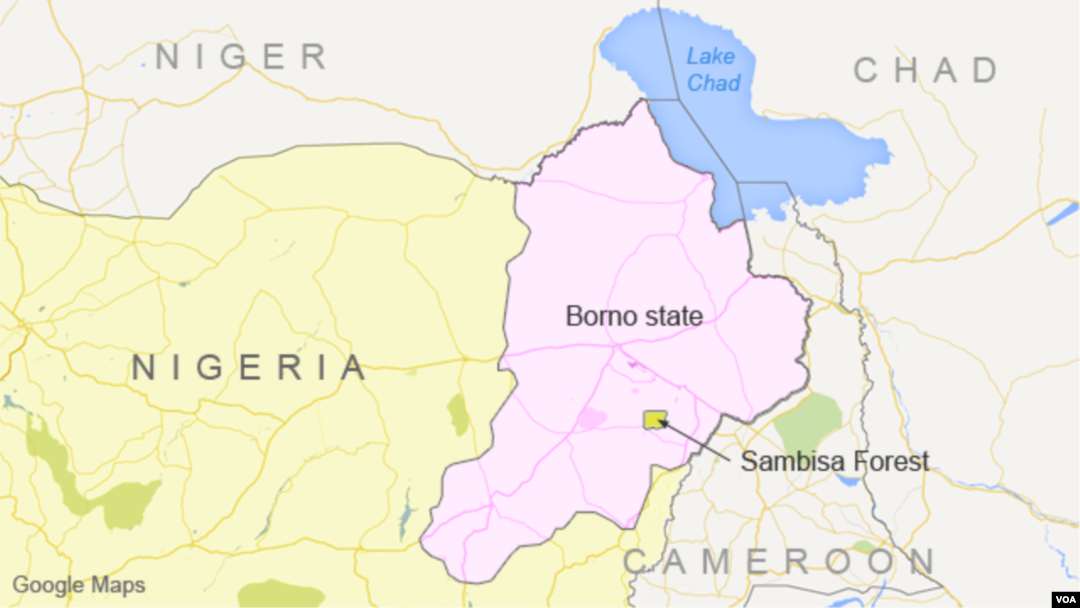 Borno State and Sambisa Forest