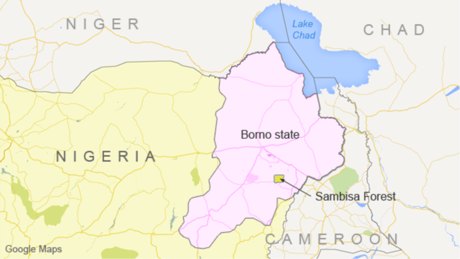 Boko Haram Serang Desa-desa di Negara Bagian Borno, Nigeria 