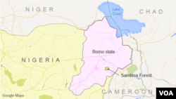 Nigeri'a Borno State and Sambisa Forest