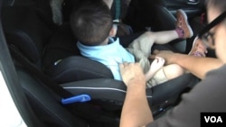 어린 아이를 차에 태운 보호자가 안전벨트를 채워주고 있다. (자료사진)