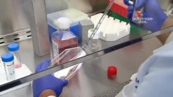 SHORT VIDEO: Քաղցկեղի բուժման ներկայիս փուլը