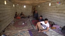 Ինչ են երազում աֆղանստանցի փախստականները