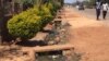 Sewer burst in Bulawayo