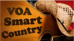 VOA Smart Country