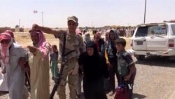 Iraq Says Fallujah 'Fully Liberated'