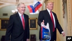 Small Russian flags bearing the word "Trump" are thrown by a protester toward President Donald Trump, as he walks with Senate Majority Leader Mitch McConnell, R-Ky., on Capitol Hill to have lunch with Senate Republicans.