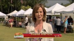 Buenos Días América 