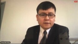 VOA连线：张文宏被揭论文抄袭被指政治不正确惹的祸
