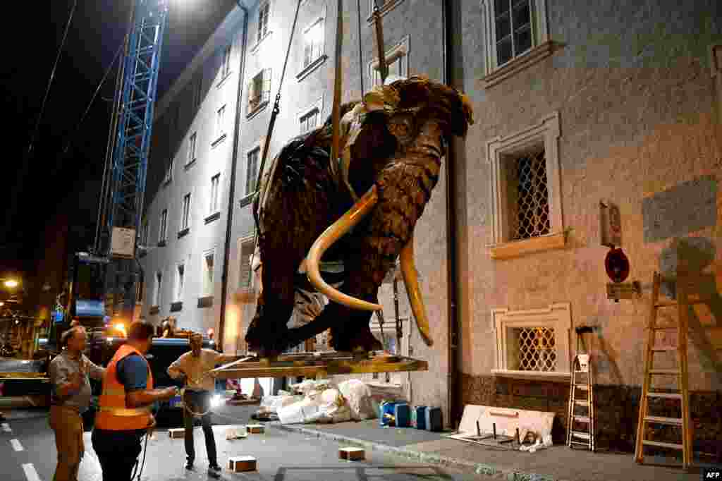 A life-sized wooden mammoth is lifted by a crane to be transported inside the courtyard of the museum &quot;House of Nature&quot; ahead of an exhibition called &quot;Ice Age and Climate&quot; in Salzburg, Austria.