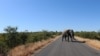 Arquivo: Um elefante atravessa a estrada no Parque Nacional Kruger, a cerca de 60 km da cidade de Nelspruit.