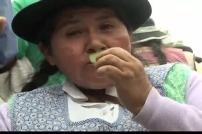 Cocaleros celebran reconocimiento