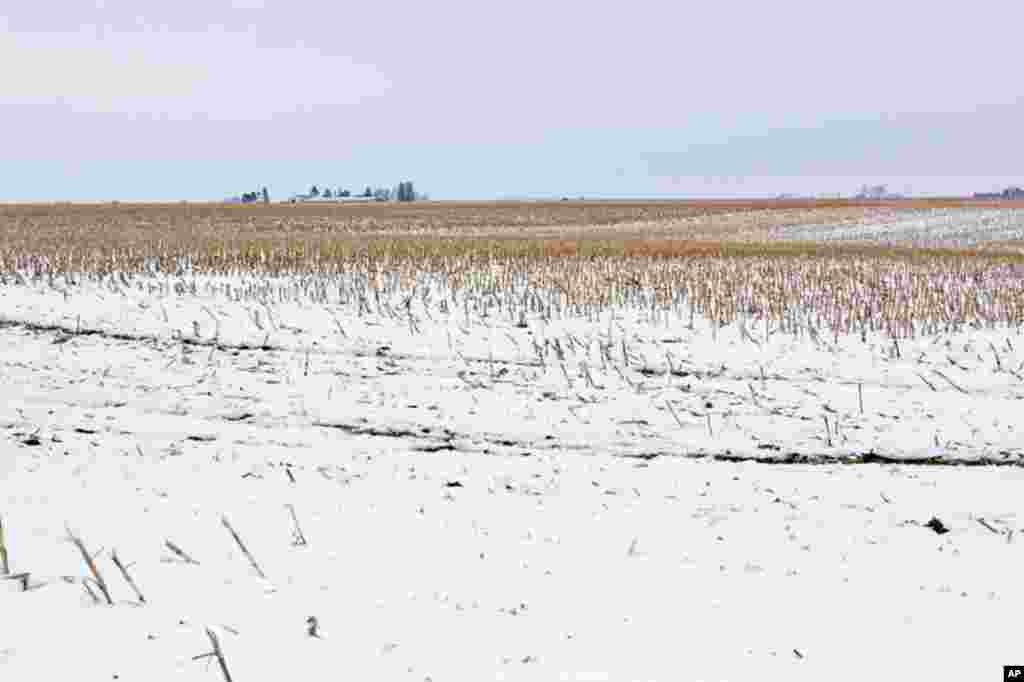 2月16日上午，习近平一行还将参观爱荷华的农场。