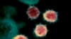 This undated electron microscope image made available by the U.S. National Institutes of Health in February 2020 shows the coronavirus that causes COVID-19. The sample was isolated from a patient in the U.S. (NIAID-RML via AP)