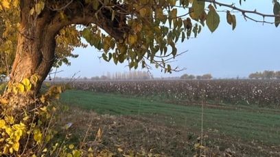 Lyudmila Artemyeva porno Mast xxx onlayn