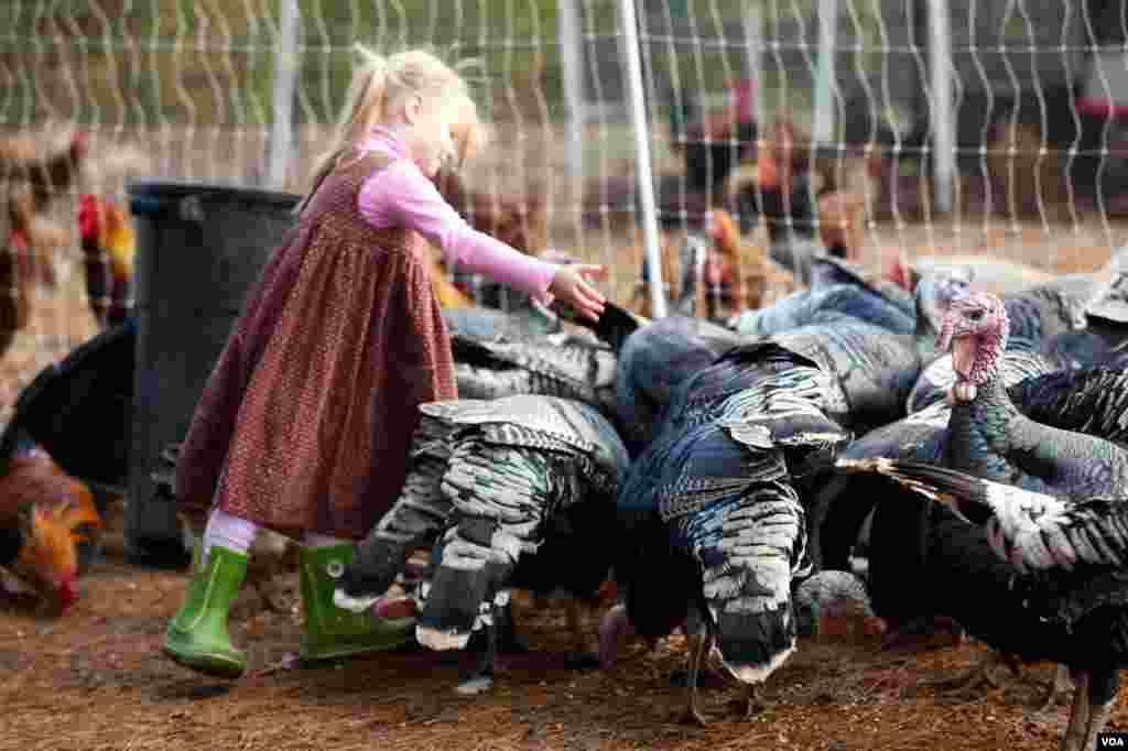Seorang pria mengisi formulir pendaftaran sebelum memberikan suaranya dalam kotak pemilihan keliling dalam referendum di desa Pionerskoye, dekat Simferopol, Krimea, Ukraina, 16 Maret 2014. 