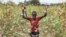 A farmer's son raises his arms as he is surrounded by desert locusts while trying to chase them away from his crops, in Katitika village, Kitui county, Kenya, Jan. 24, 2020.