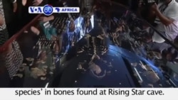 VOA60 Africa- Scientists discover 'new human species’ in bones found at Rising Star cave- September 10, 2015