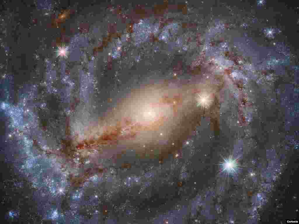 Galaxia espiral NGC 5643 en la constelaci&#243;n de Lupus (el Lobo). Se necesitaron 30 exposiciones diferentes, para un total de nueve horas de observaci&#243;n, junto con la alta resoluci&#243;n y claridad del Hubble para producir la imagen. [Foto: Cortes&#237;a NASA]