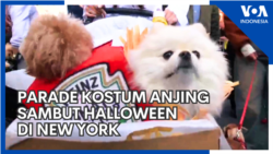 Parade Kostum Anjing Sambut Halloween di New York
