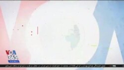 اخبار شامگاهی