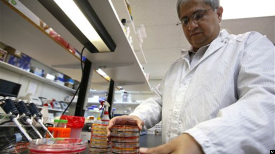 With the number of new E. coli cases appearing to slow down in Europe, the outbreak could soon end without health experts identifying the cause.