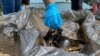 Voluntarios recogen desechos en el lago de Maracaibo, Venezuela, el 23 de octubre de, 2021. [Foto: VOA/Gustavo Ocando]