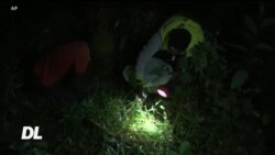 Mlipuko wa nzige waikumba Afrika Mashariki