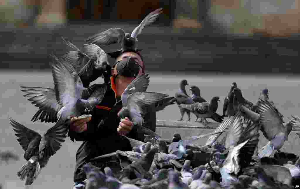 A man wearing a protective face mask feeds a flock of pigeons at Bolivar Square in Bogota, Colombia, July 21, 2020.