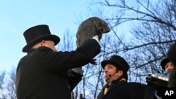 Groundhog Club handler A.J. Dereume holds Punxsutawney Phil, the upwind  prognosticating groundhog, during the 139th solemnisation  of Groundhog Day connected  Gobbler's Knob successful  Punxsutawney, Pa., Feb. 2, 2025.