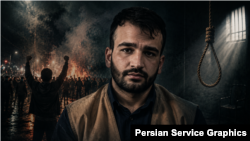 محمدرضا میری