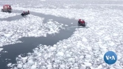 Antarctic Sea Ice Plunges from Record High to Record Lows