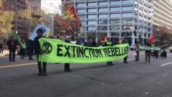 Protestas por Cambio Climático Washington DC