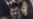 احمدی نژاد: ما از ثبات اقتصادی برخورداریم
