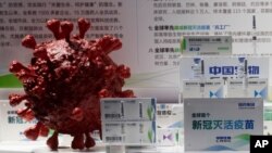 중국 국립 바이오테크 그룹(CNBG)이 개발한 신종 코로나바이러스 백신이 지난달 베이징에서 열린 무역박람회에 전시됐다. 