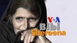 بي بي شیرینه – وي او اې ډيوه په ټیلې ویژن