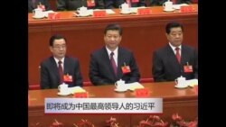 中国新的最高领导人习近平